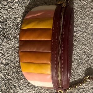 Coach Multicolor Striped Crossbody Bag